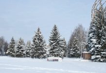 До -6°С похолодает в Рязанской области в воскресенье