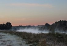 Туман и гололедицу обещают синоптики рязанцам в понедельник