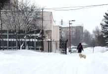 До 35 мороза было 26 января в Путятинском округе