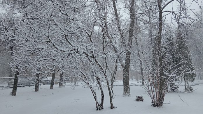 погода 09.01.2026