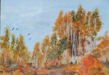 Путятинская школьница — призер конкурса Центра охраны дикой природы