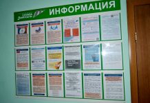 Более 40 вакансий открыты на сайте «Работа в России» в Путятинском округе