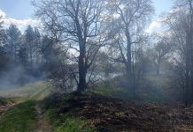 В Путятине загорелась сухая трава