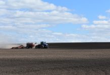 Аграрии Путятинского округа посеяли 2660 гектаров яровых зерновых культур