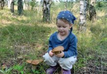 Грибники Путятинского округа вышли на «охоту»